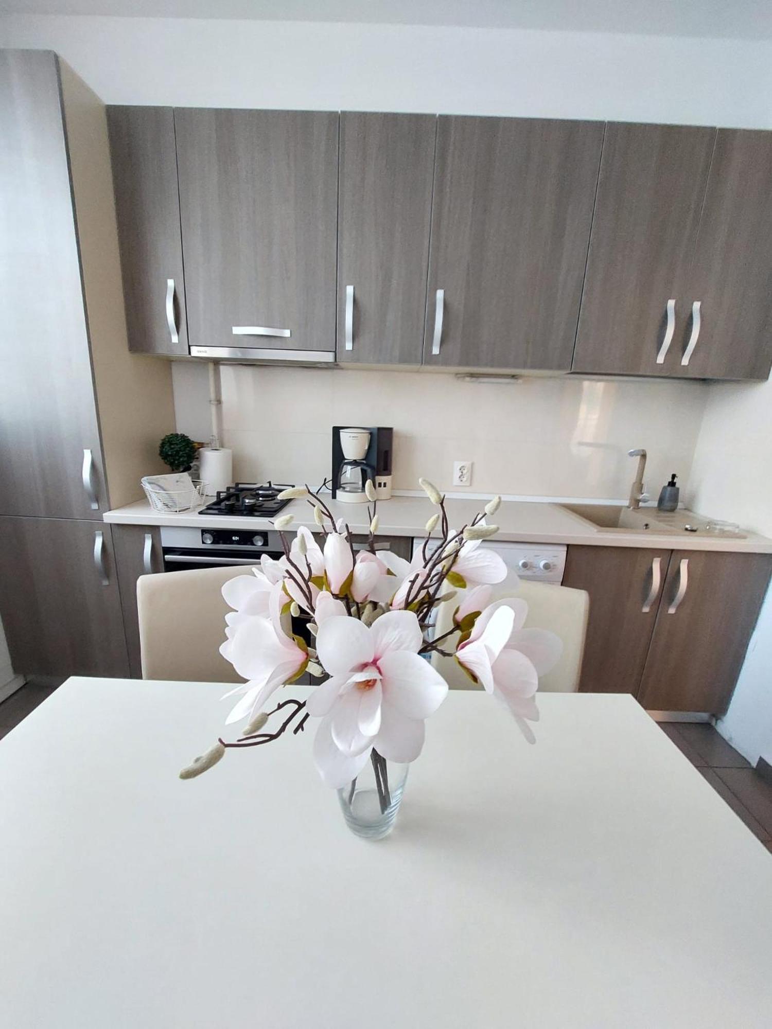 Sweet Residence Apartment Arad Exteriér fotografie